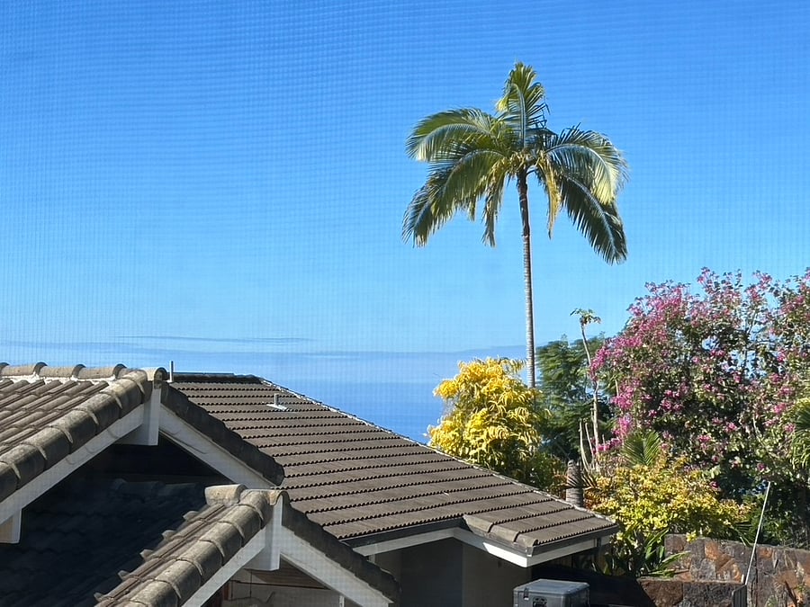 view from the unit