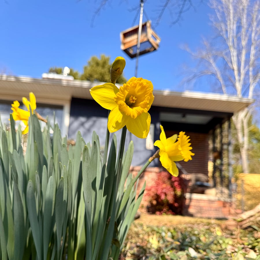 Spring Sprang!