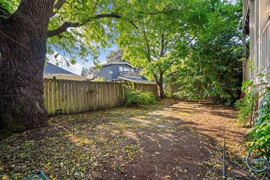 Exterior Shared Yard Space