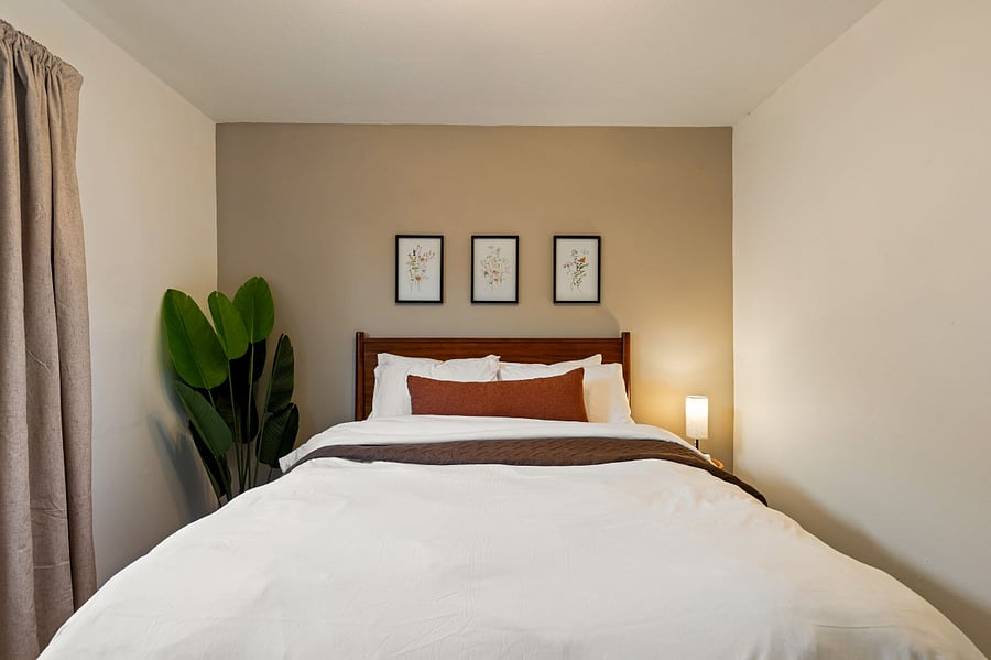 Furnished Finder property 800042_1 photo 15