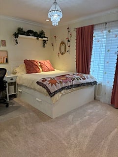Furnished Finder property 800045_1 photo 11