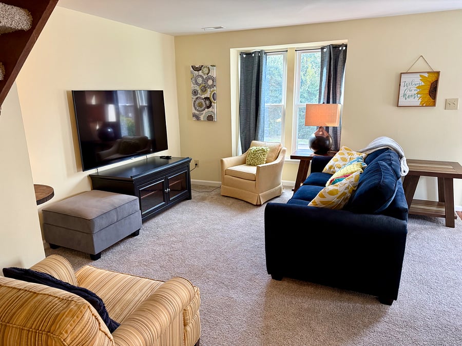 Furnished Finder property 800077_1 photo 6