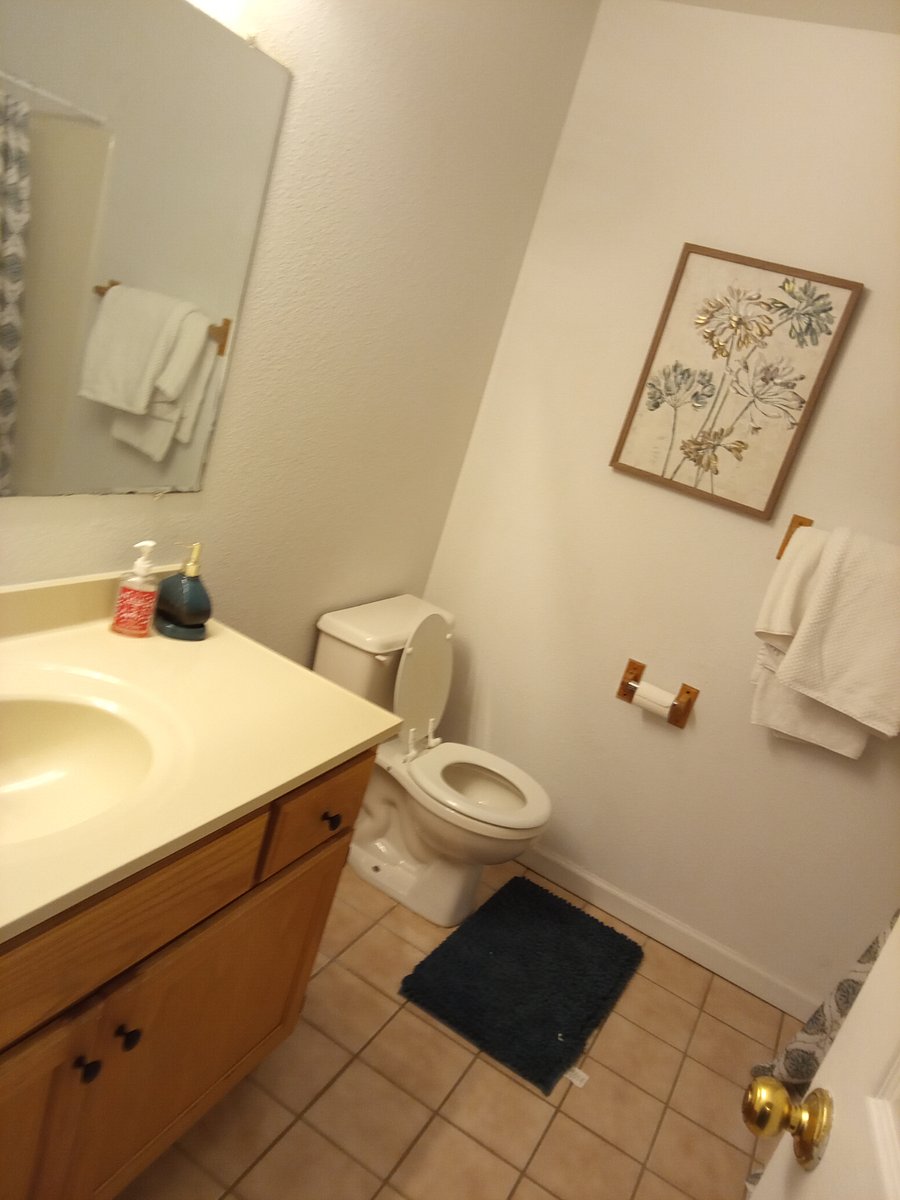 Furnished Finder property 800245_1 photo 3