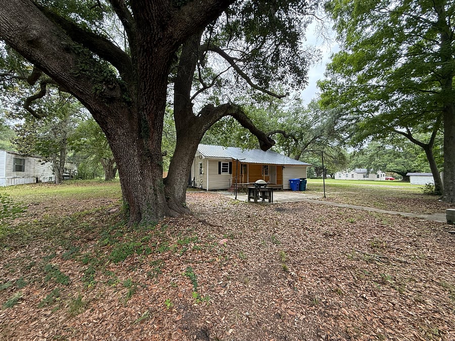 Furnished Finder property 800275_1 photo 13