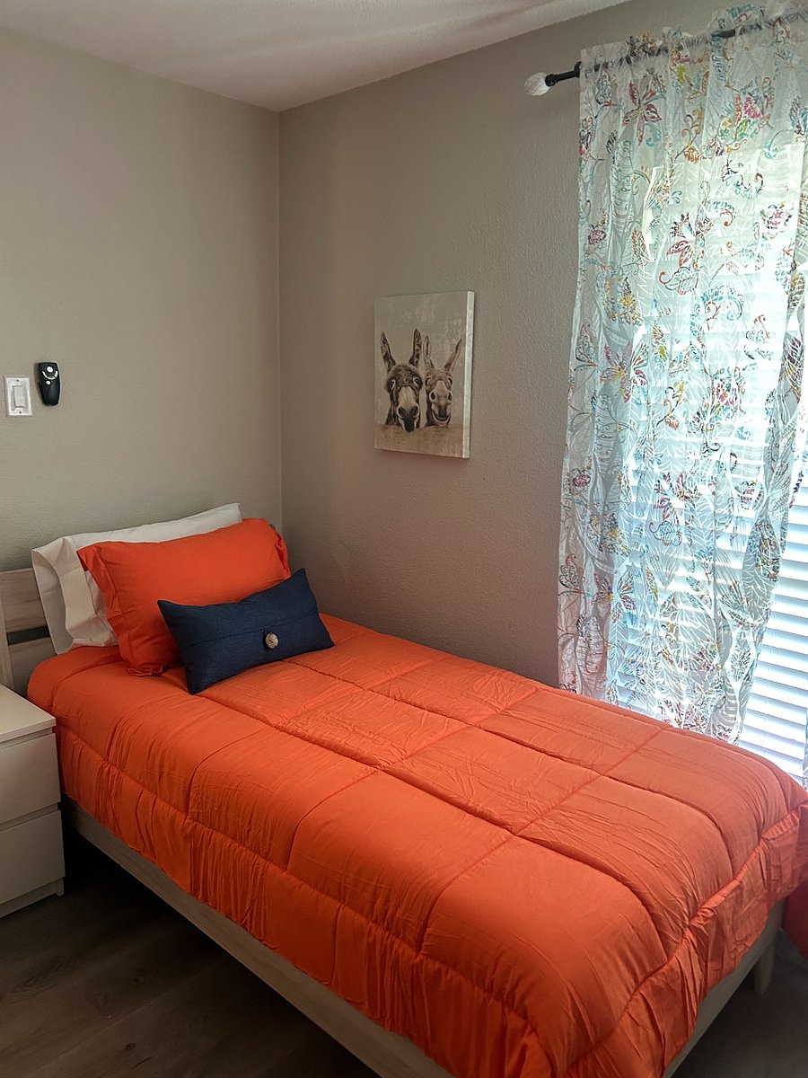 Furnished Finder property 800305_1 photo 19