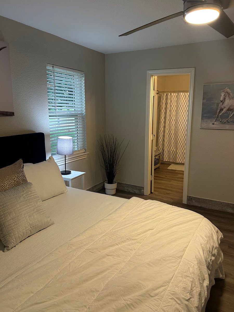 Furnished Finder property 800305_1 photo 31