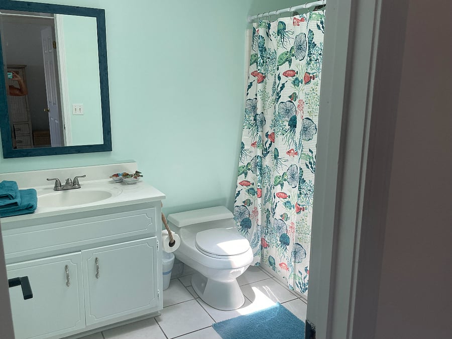 Furnished Finder property 800315_1 photo 15