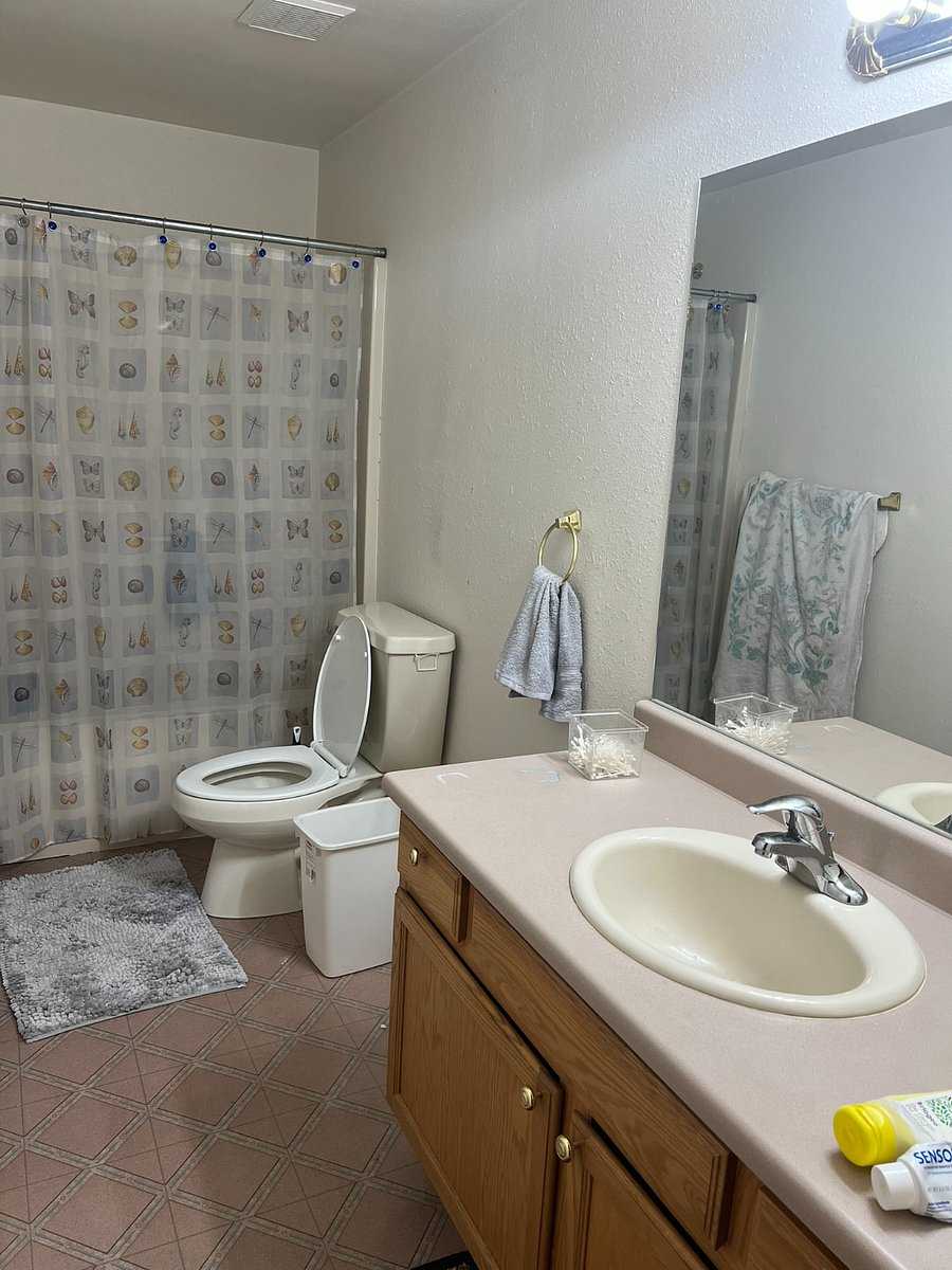 Furnished Finder property 800345_1 photo 16