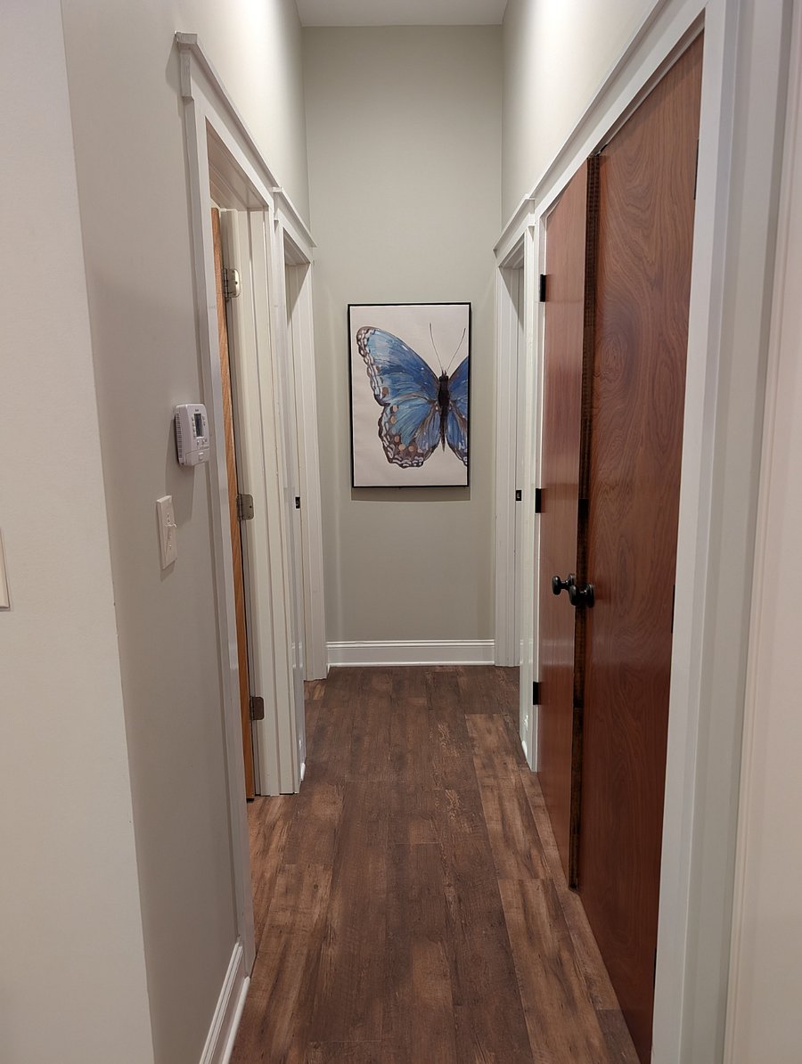 Furnished Finder property 800371_1 photo 21