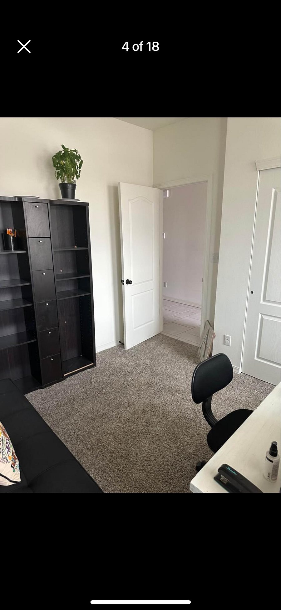 Furnished Finder property 800467_1 photo 17