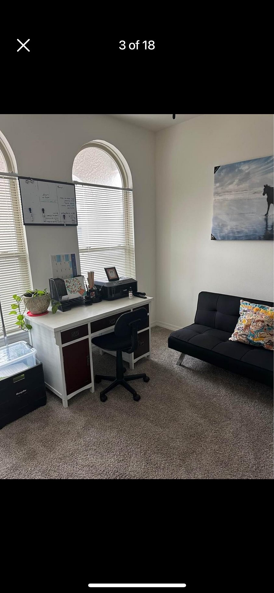 Furnished Finder property 800467_1 photo 18