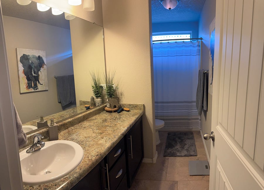 Furnished Finder property 800489_2 photo 3