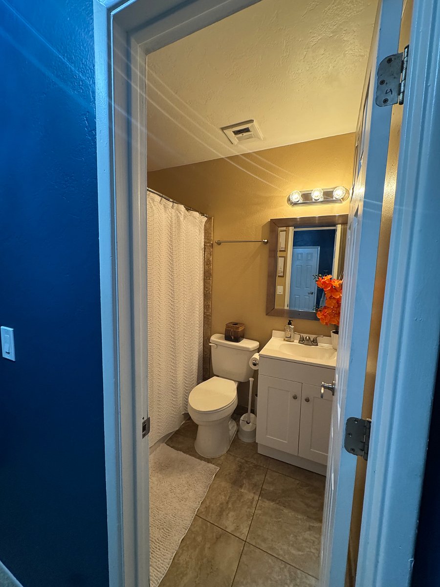 Furnished Finder property 800506_1 photo 5