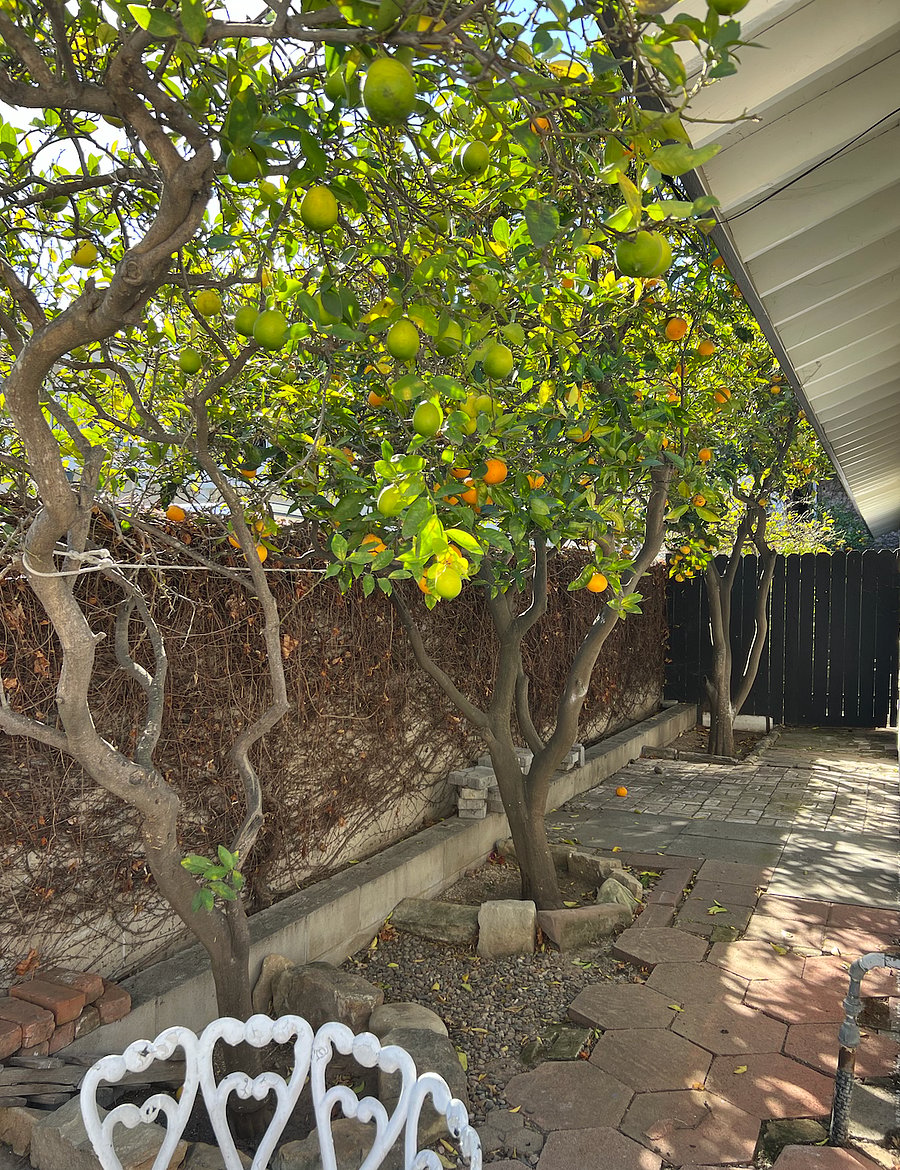 Furnished Finder property 800574_1 photo 12