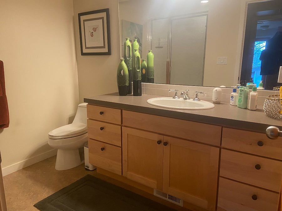 Private bathroom with shower, hair dryer, shampoo, conditioner, linen and scale.