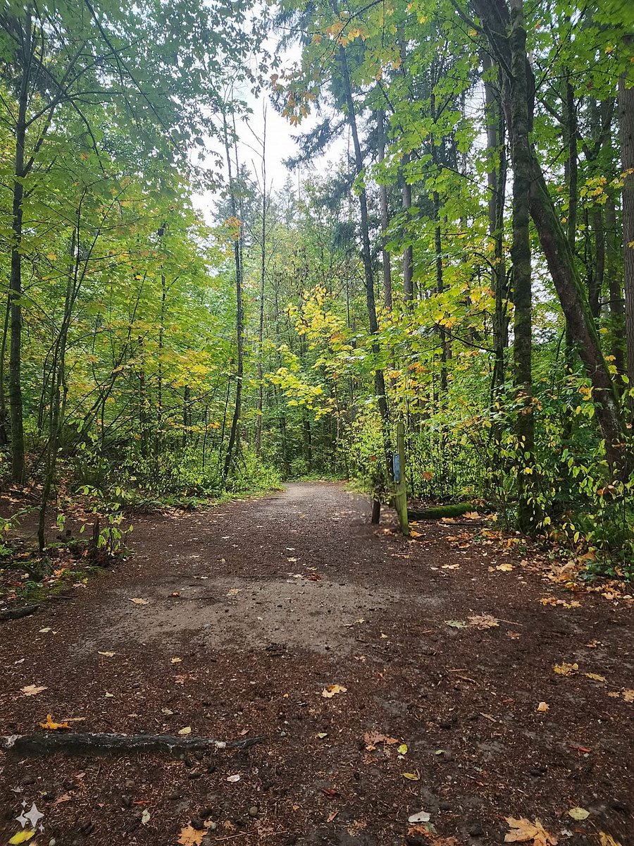A photo of one of the trails of St. Edward park. This park goes down to the lake.