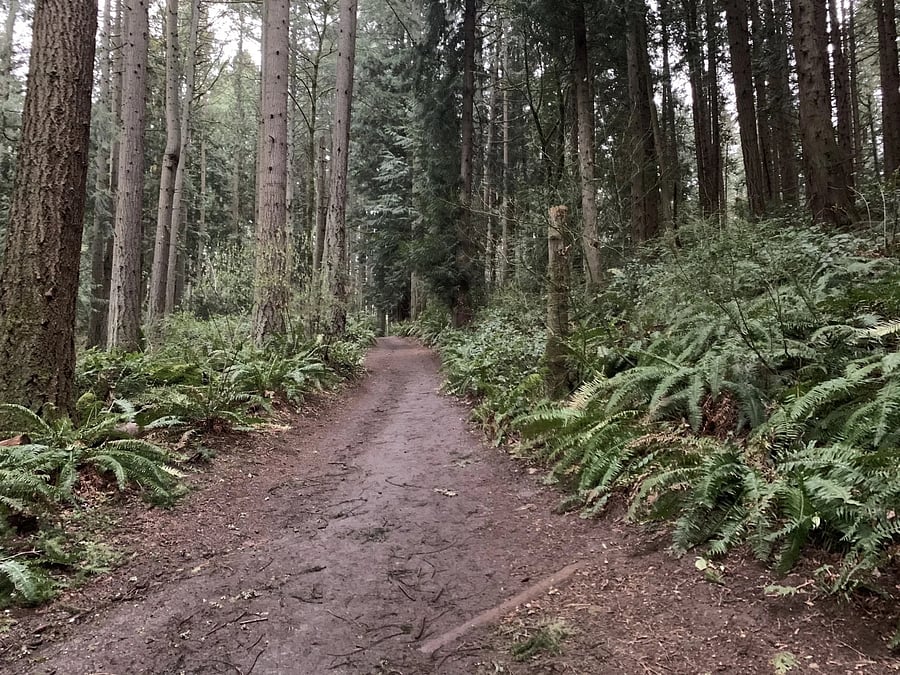 Another walk within St. Edwars