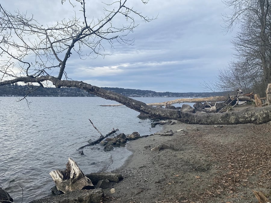 waterfront in St. Edwards - you can walk from my house