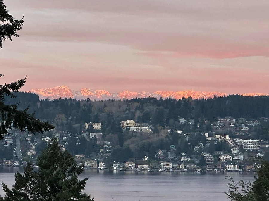 View as you drive to the house