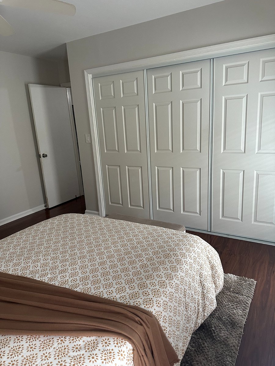 Furnished Finder property 800594_1 photo 15