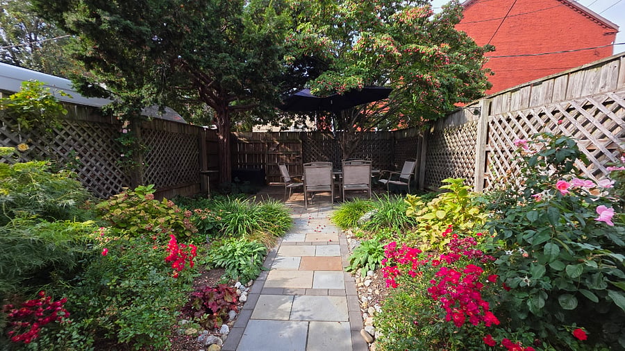 Furnished Finder property 800669_1 photo 16