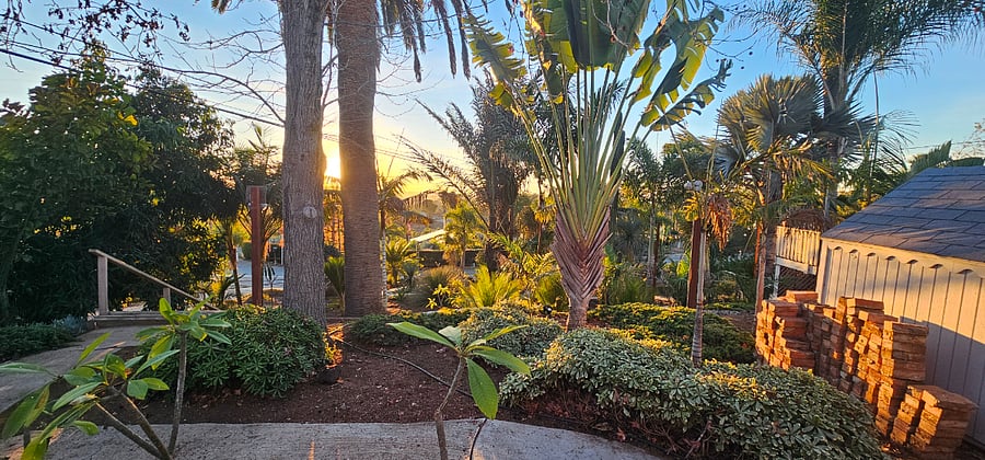 Furnished Finder property 800721_1 photo 10