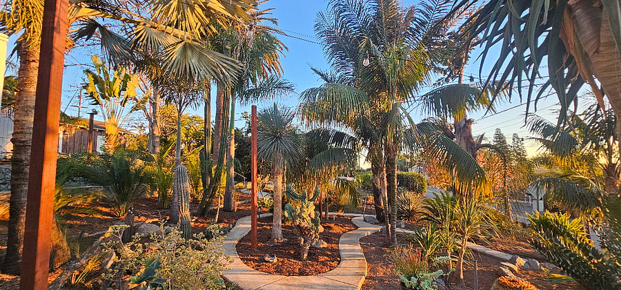 Furnished Finder property 800721_1 photo 12