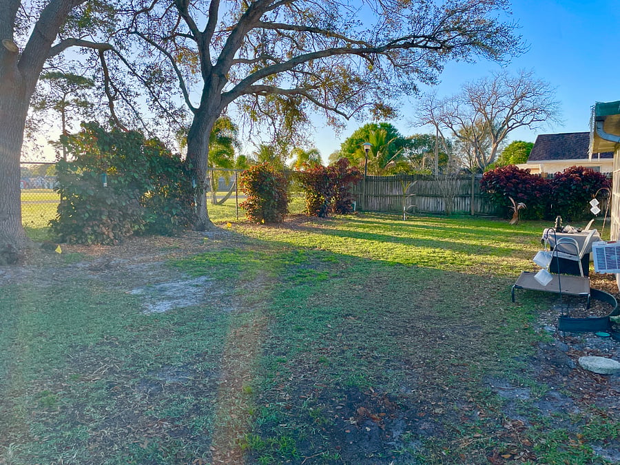 back yard