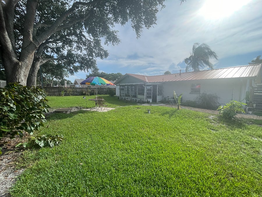 Backyard
