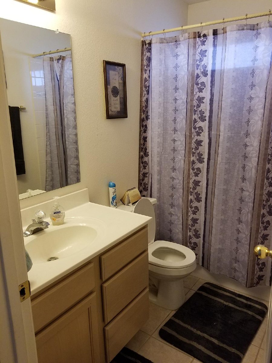 Furnished Finder property 800889_1 photo 4