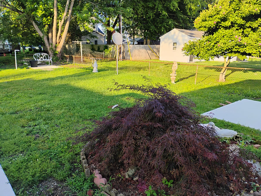 Furnished Finder property 800963_2 photo 42