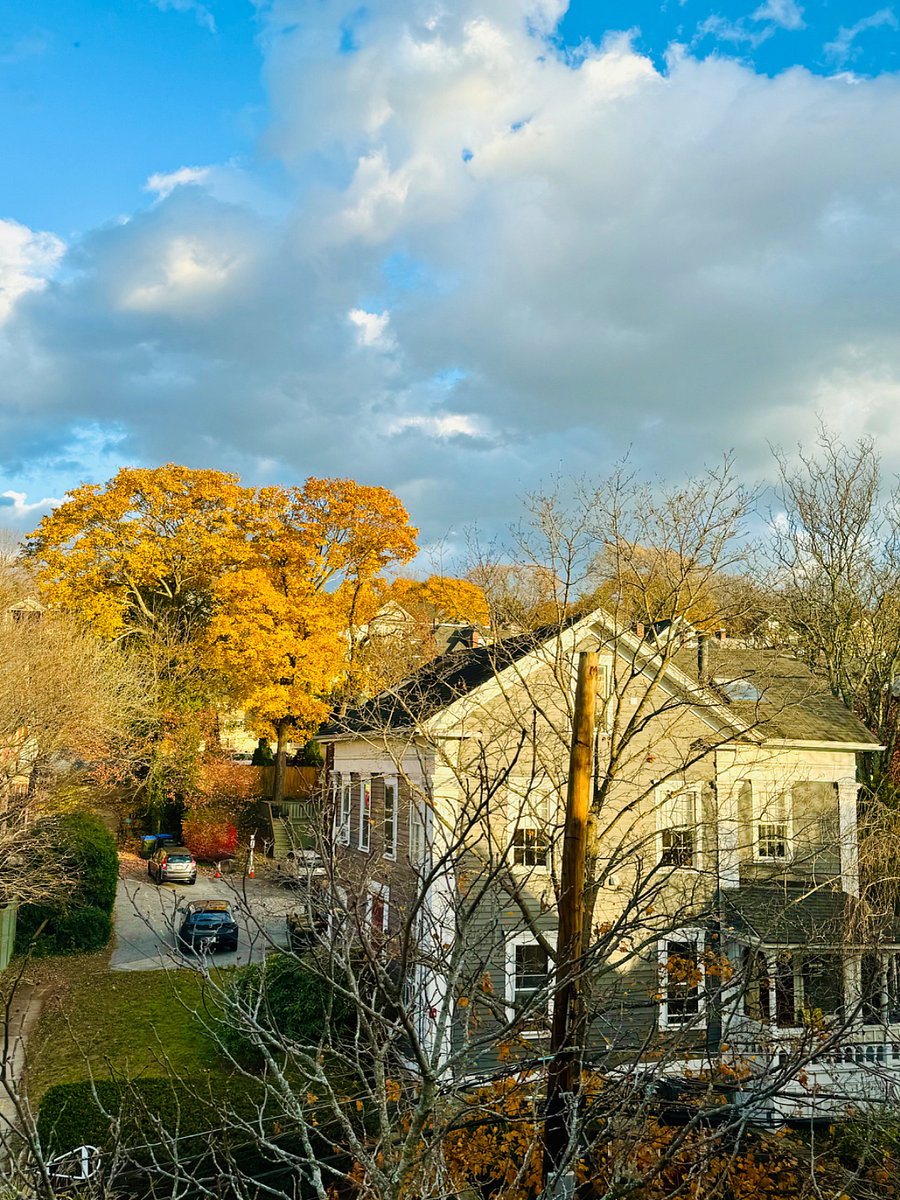 View from living room