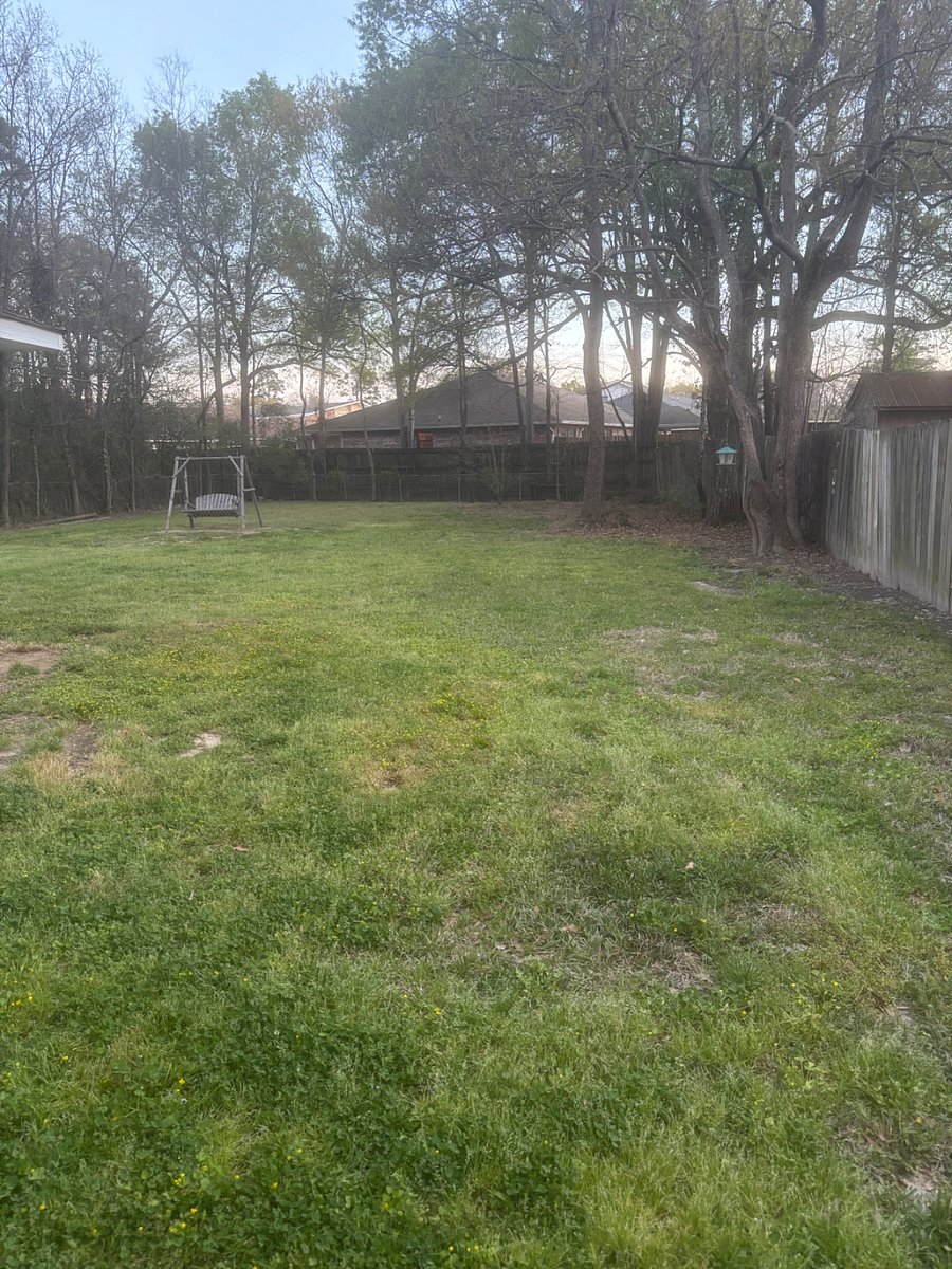 Furnished Finder property 801032_1 photo 16