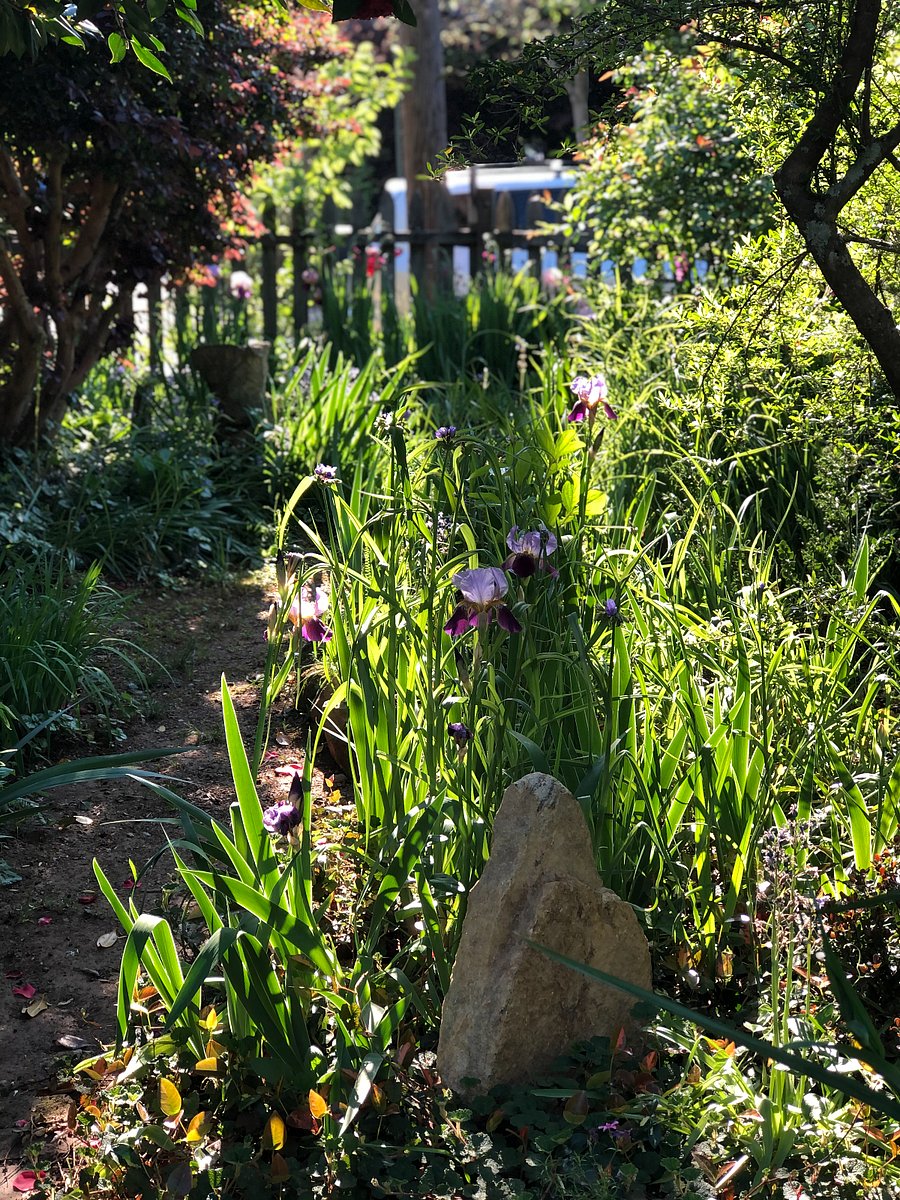 Garden path by sitting area