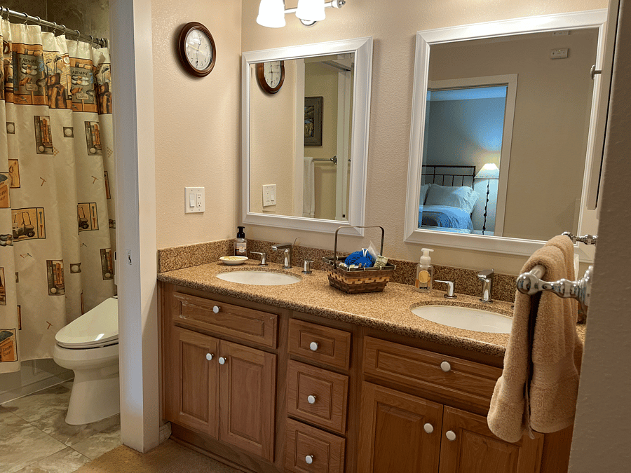 Bathroom Vanity Area