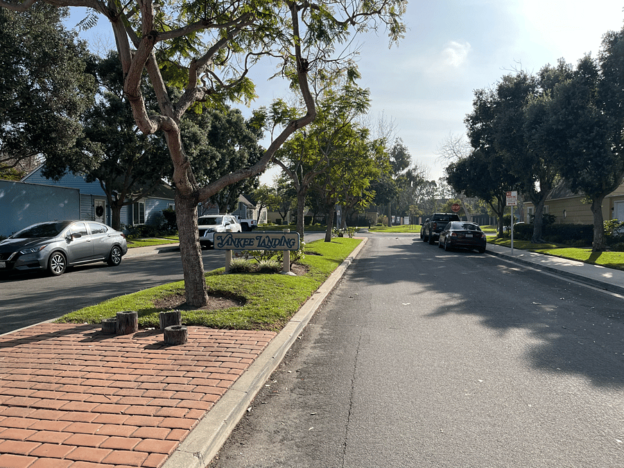 Entry to Development