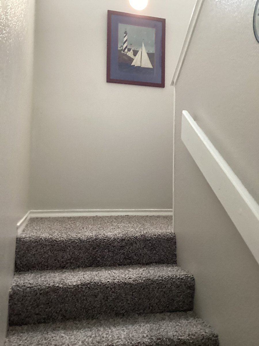 Furnished Finder property 801221_1 photo 8