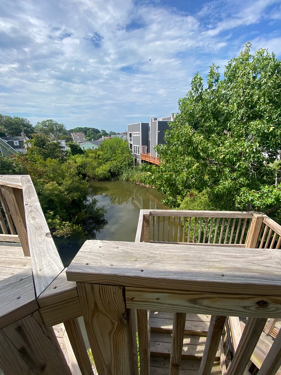 Furnished Finder property 801231_1 photo 5