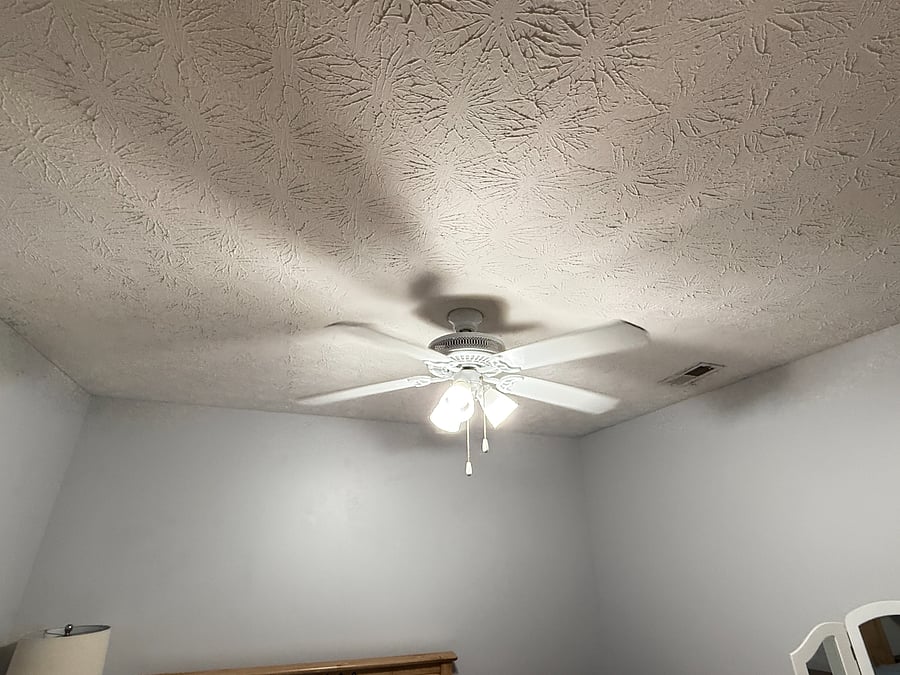 Ceiling fan that you can control