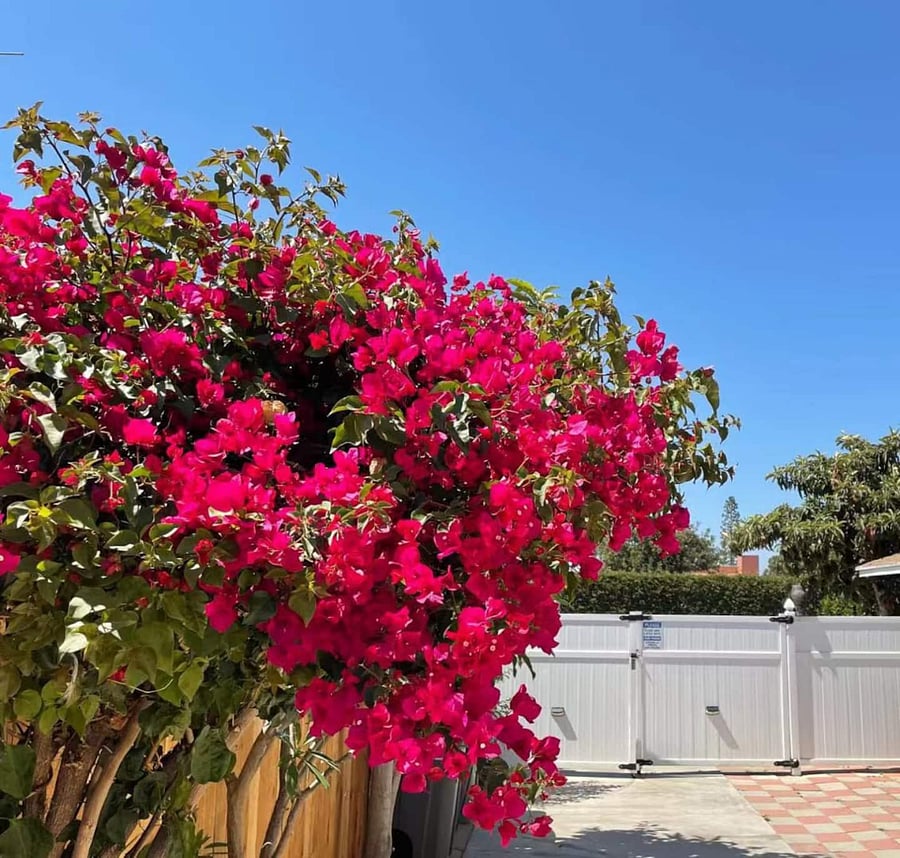 Furnished Finder property 801274_1 photo 9