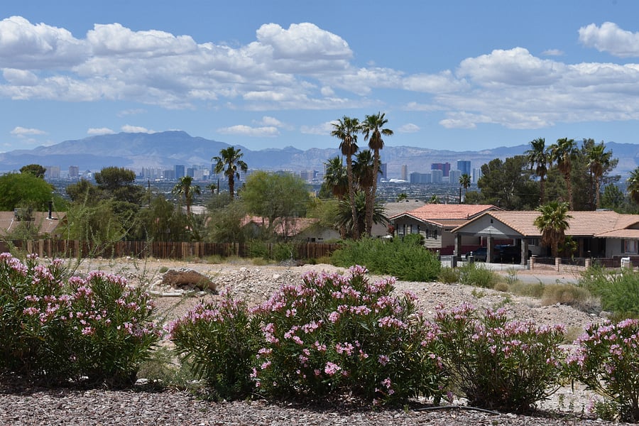 Furnished Finder property 801305_1 photo 17
