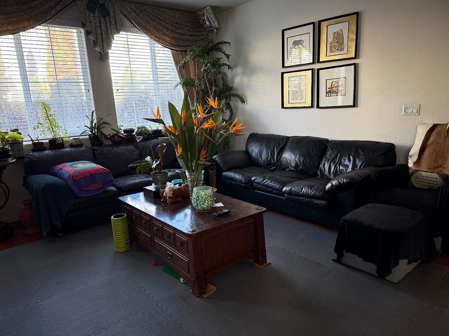 Furnished Finder property 801360_1 photo 4