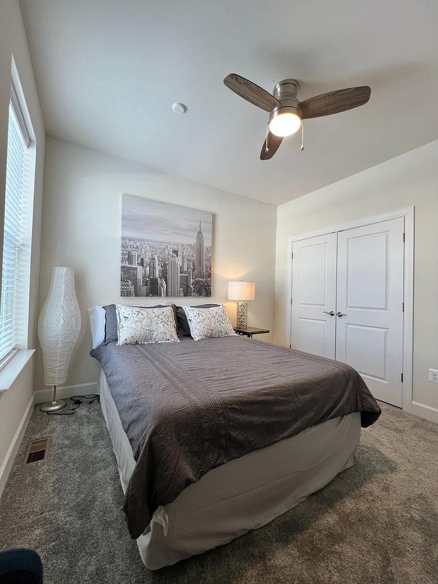 Furnished Finder property 801437_1 photo 3