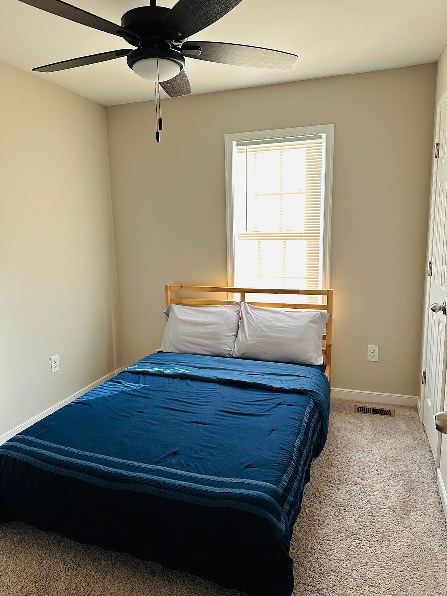 Furnished Finder property 801462_1 photo 4