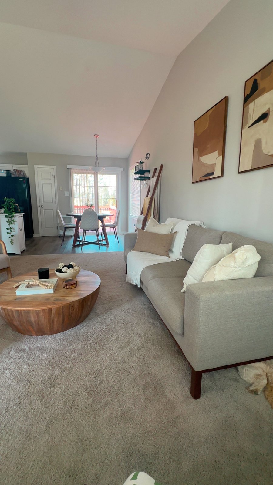 Furnished Finder property 801462_1 photo 17