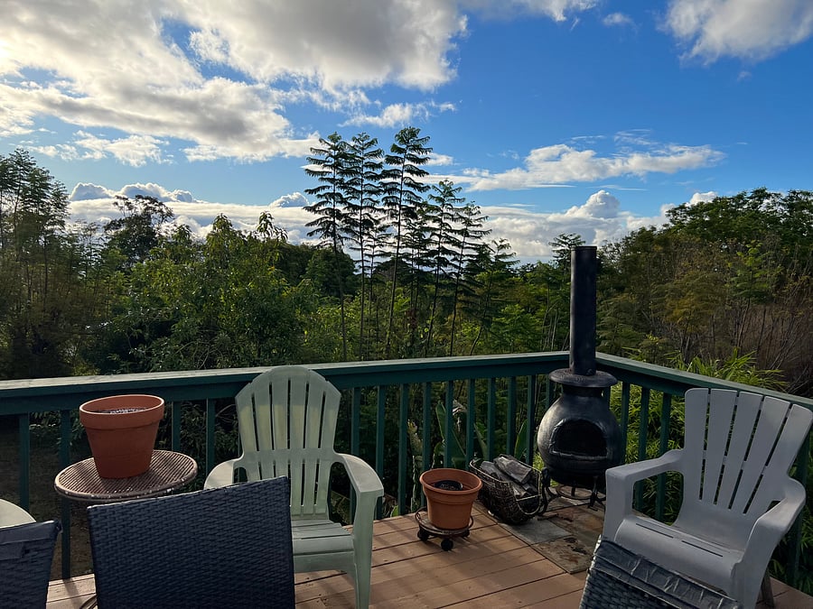 Furnished Finder property 801496_1 photo 13