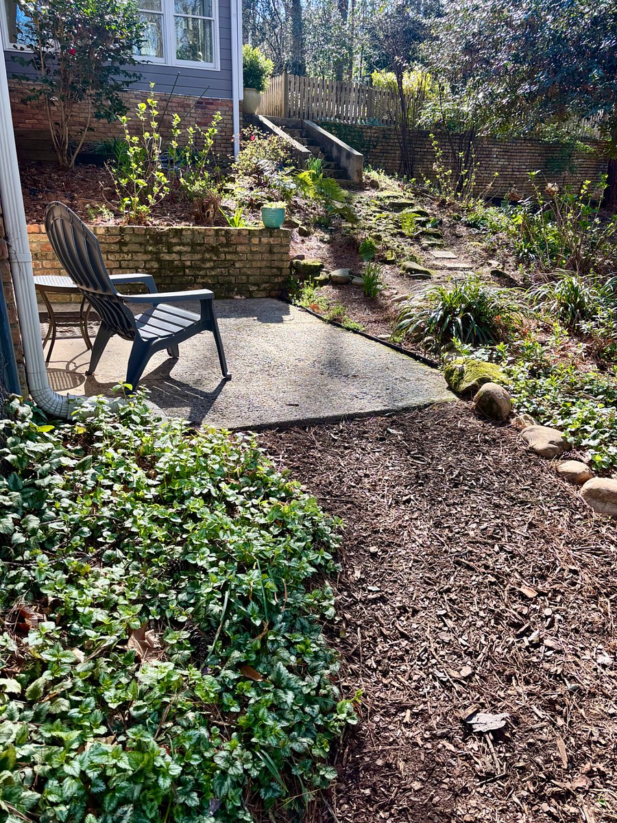 Private patio in wooded backyard.