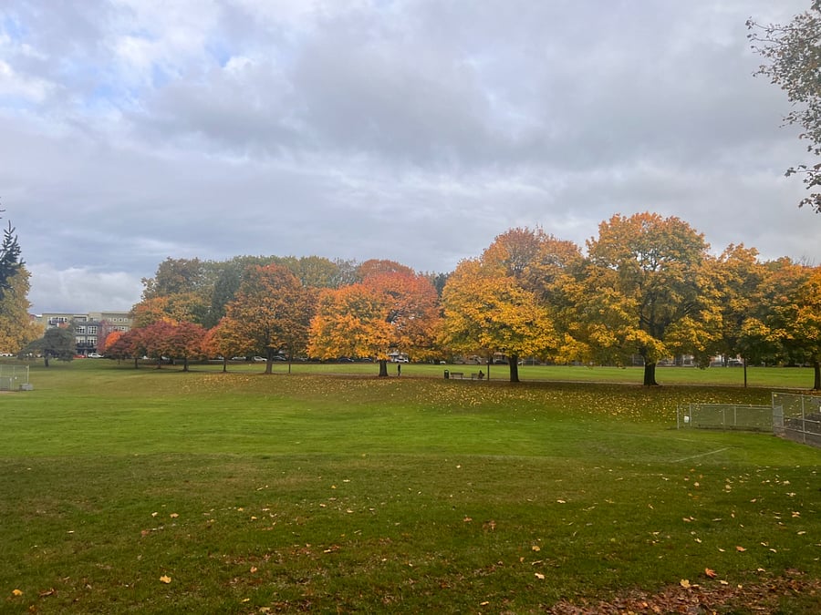 Kenton Park, across the street
