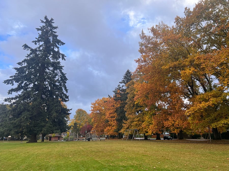 Kenton Park, across the street