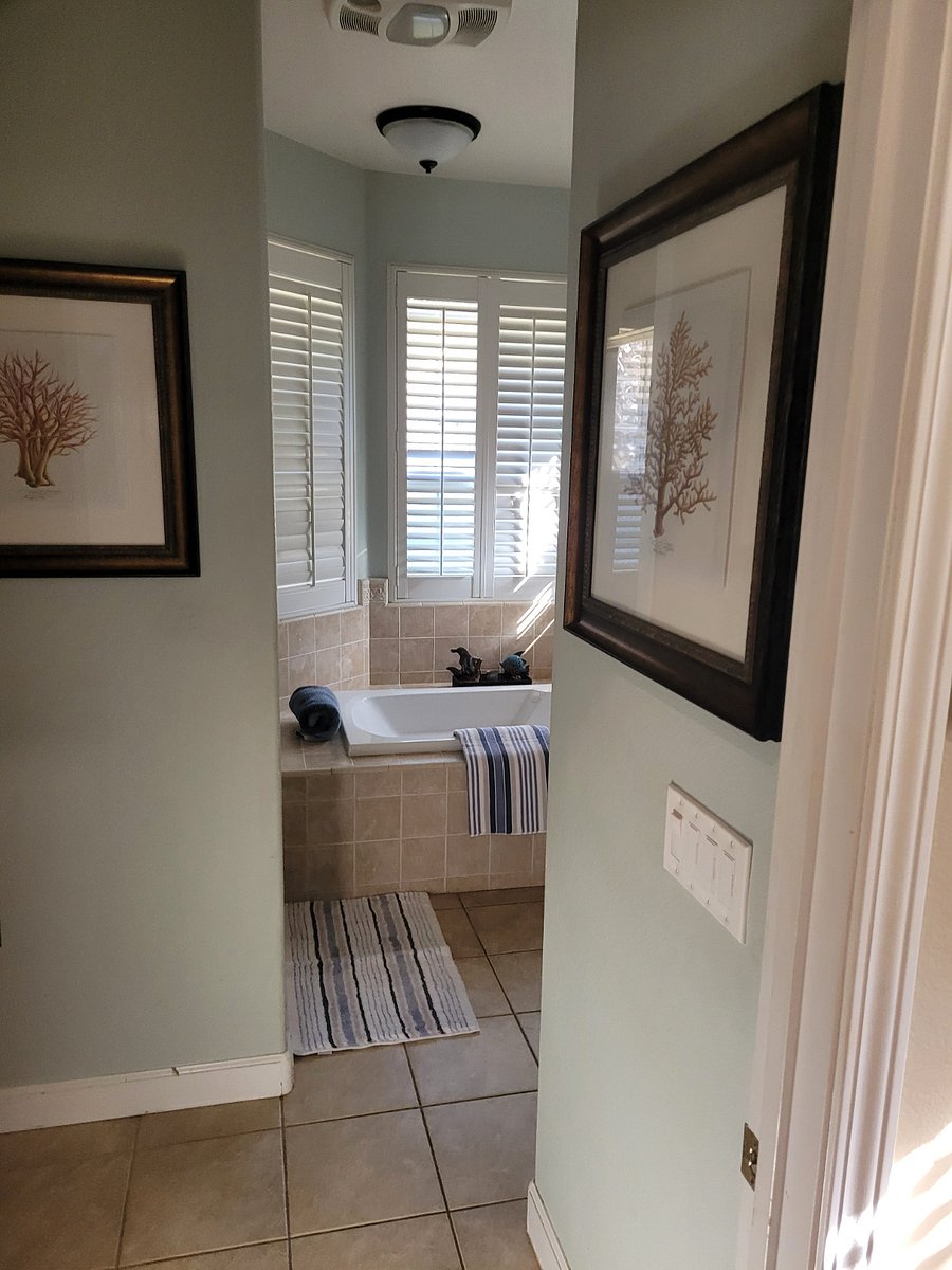 Furnished Finder property 801599_1 photo 21